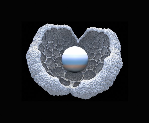 Incubation Print