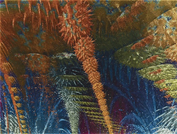 Vegetation Print