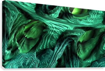 Torsions Canvas Print
