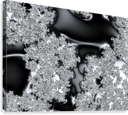 Reflet Reflection Canvas Print