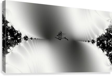 Mirage Canvas Print