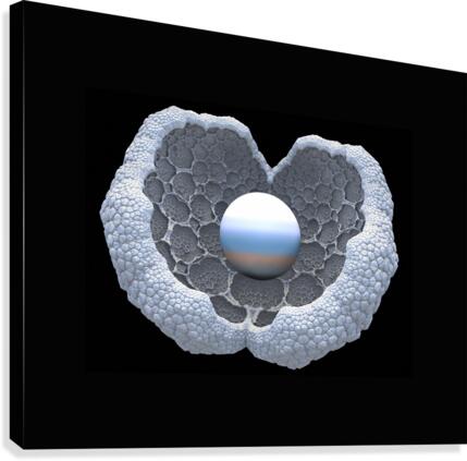 Incubation Canvas Print