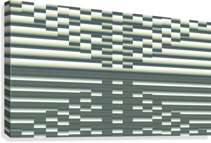 Optique Optic Canvas Print