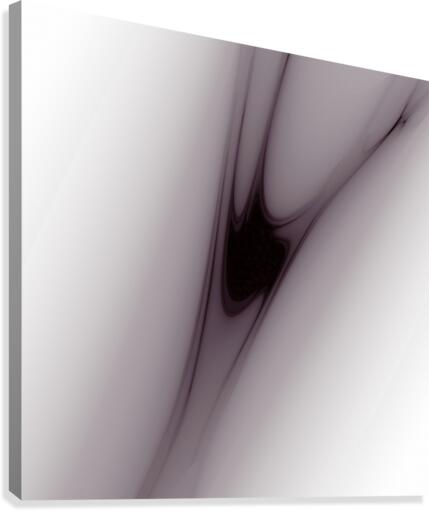 Contraction Canvas Print