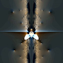 Rare libellule Rare dragonfly
