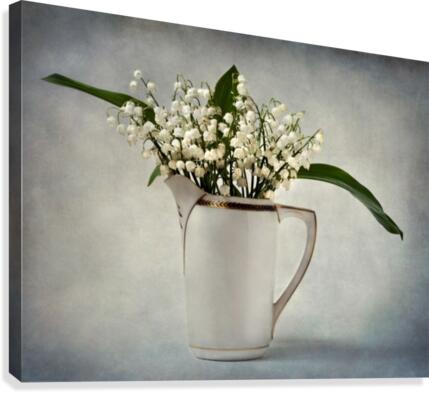 White Canvas Print