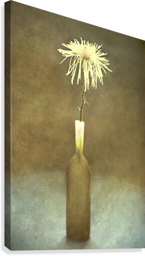 One Canvas Print