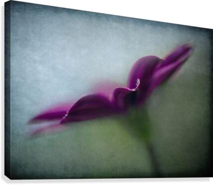 Purple wave Canvas Print