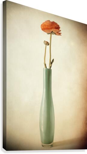 Vanishing Canvas Print