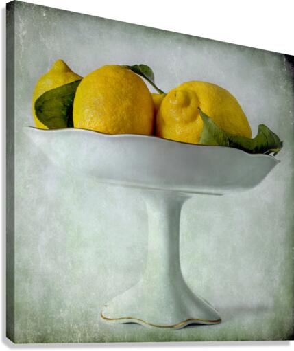 Citrea Canvas Print