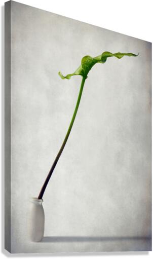 Balanced Canvas Print