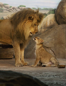 Past and Future King