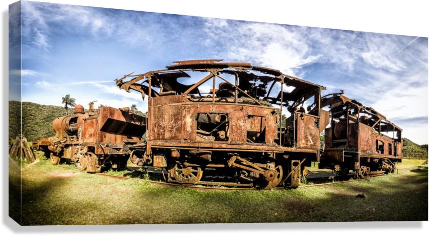 Rusty Train Canvas Print