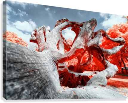 Mediterranean Canvas Print