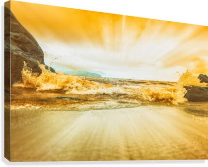 Awoken Election Canvas Print