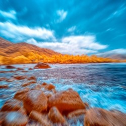 Restless Shore