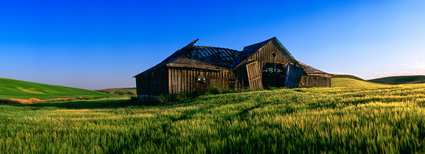 Baylor Barn by John Shephard
