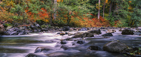 Canyon Creek Print