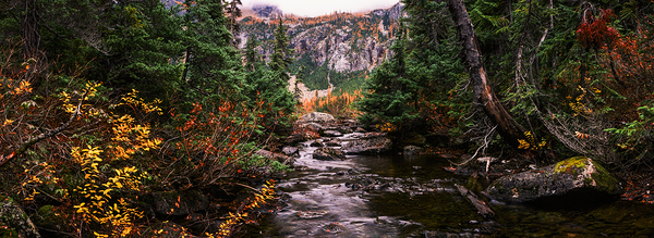 Whispers of Autumn Print