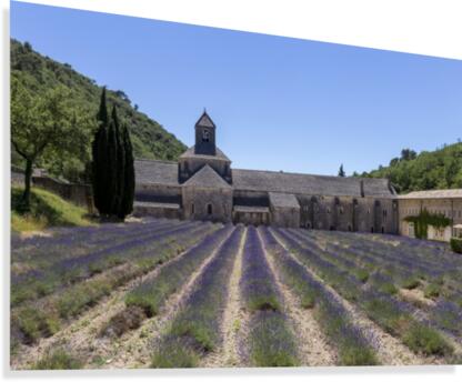 Senanque abbey Canvas Print