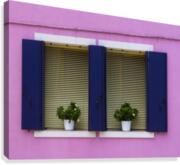 Windows in Burano Canvas Print