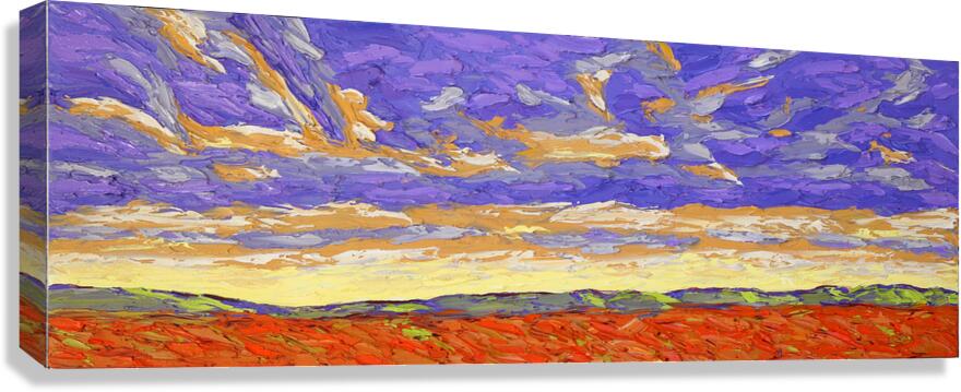 After the Storm  Canvas Print
