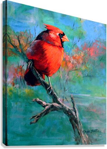 Flash  Canvas Print