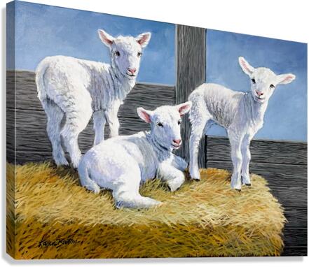 NURSERY Canvas Print