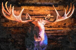 MOOSE MOONY