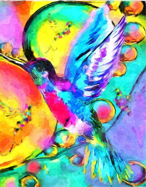 HUMMING-BIRD  Print