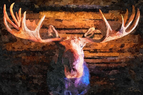 MOOSE MOONY Print