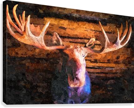 MOOSE MOONY Canvas Print