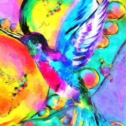 HUMMING-BIRD 