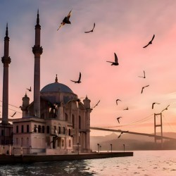 Mosque and Bridge