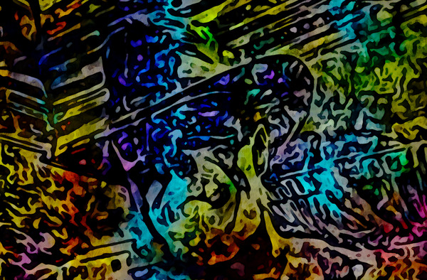 Cowboy Print