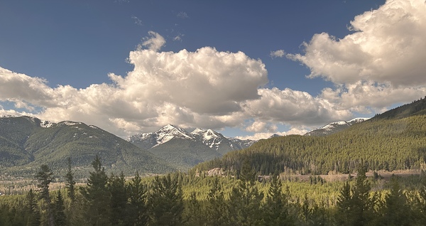 Essex  MT