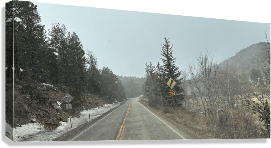 It is snowing  Canvas Print