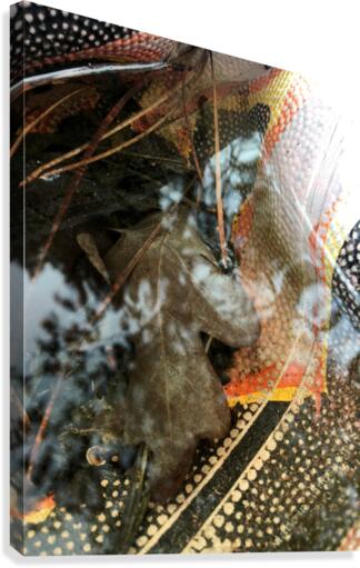 Rubber Canvas Print