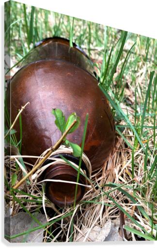 Bottle_1 Canvas Print