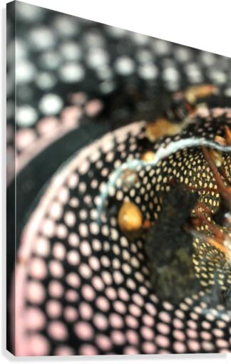 Rubber (1) Canvas Print