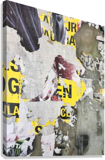 Focal Point Canvas Print