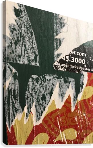 3000 dot com Canvas Print