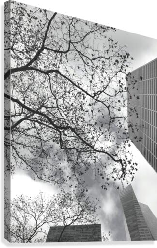 NYC Placement Canvas Print