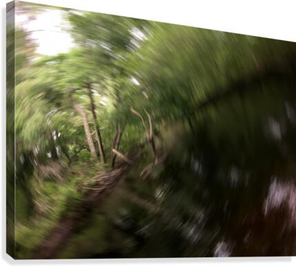 Winding River Circular Canvas Print