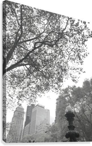 NYC Variations_2 Canvas Print