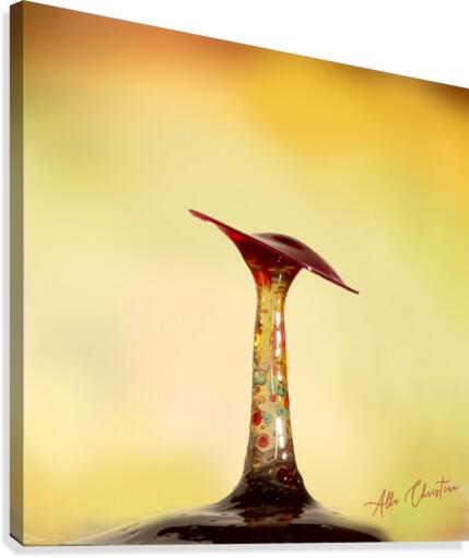  MG 2275 2 Canvas Print