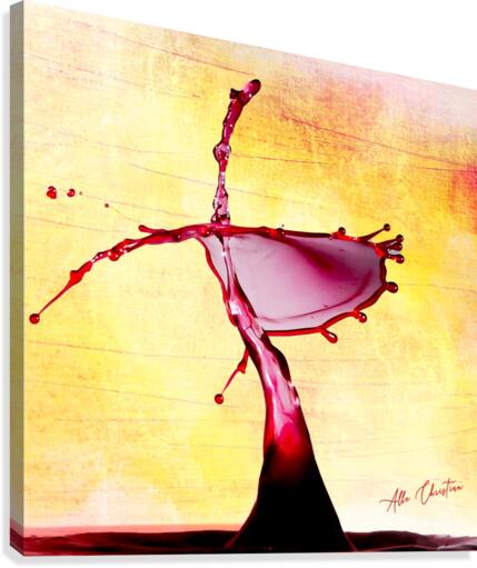  MG 2476 Canvas Print