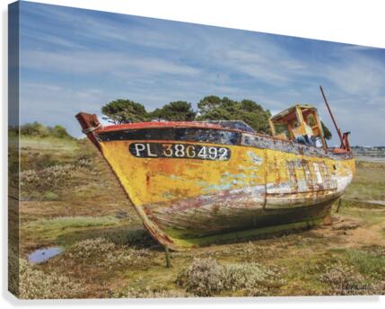  MG 0034 Canvas Print