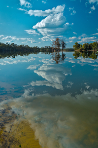 Reflections by the Lake