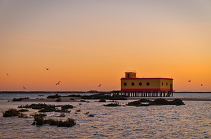 Lifesavers building and birds in Fuzeta. Portugal
